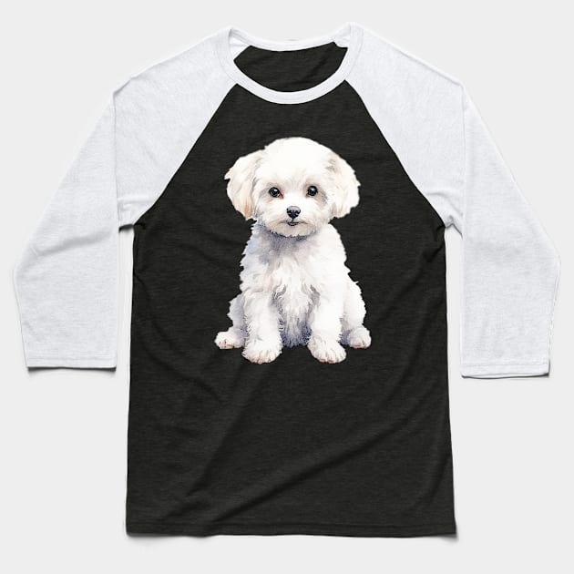 Bichon Frise Baseball T-Shirt by DavidBriotArt